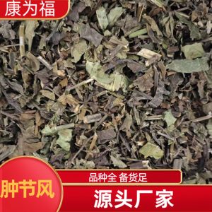 Zhong Jie Feng (Sarcandra glabra) — Dried Herbal Pieces & Custom Powder, 500g