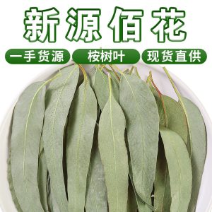 Eucalyptus Leaves (Eucalyptus globulus) — Dried Blue Gum Leaf for Sachets & Herbal Blends