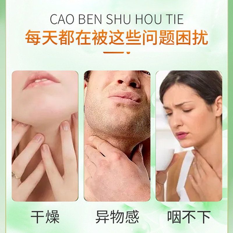 Herbal Throat Patch Luo Han Guo Loquat Leaf Pear Extract External Use 6 Patches Per Box - Image 2