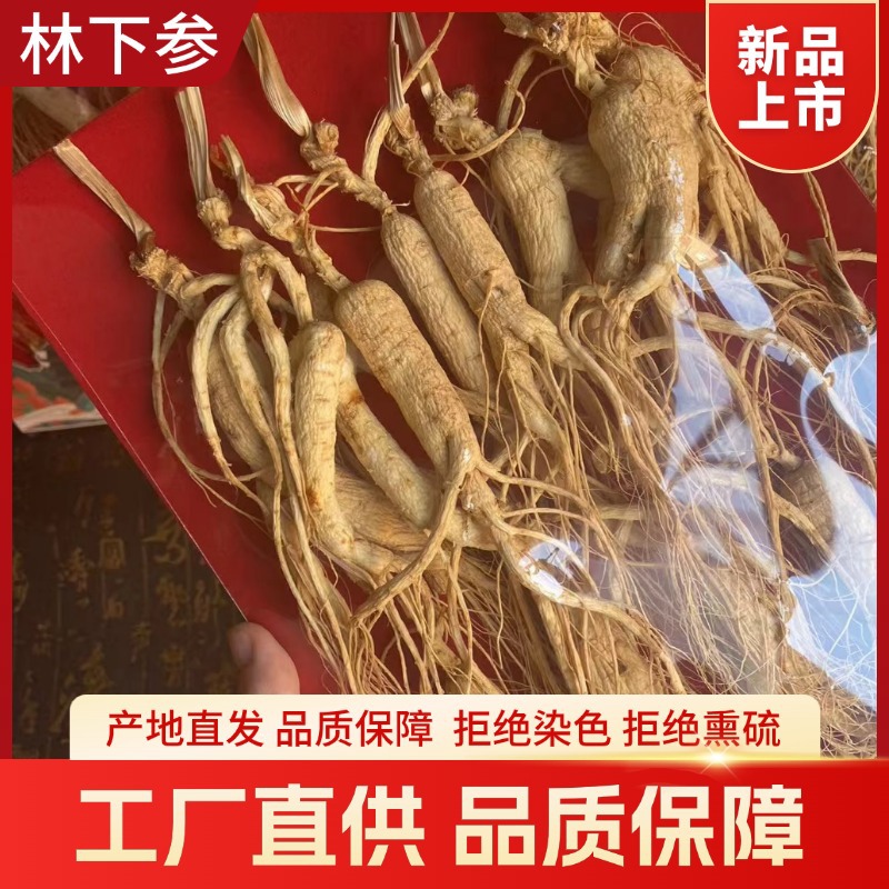 Wild-Simulated Ginseng Slightly Imperfect Roots 200g Dried for Cooking and Decoction - Image 4