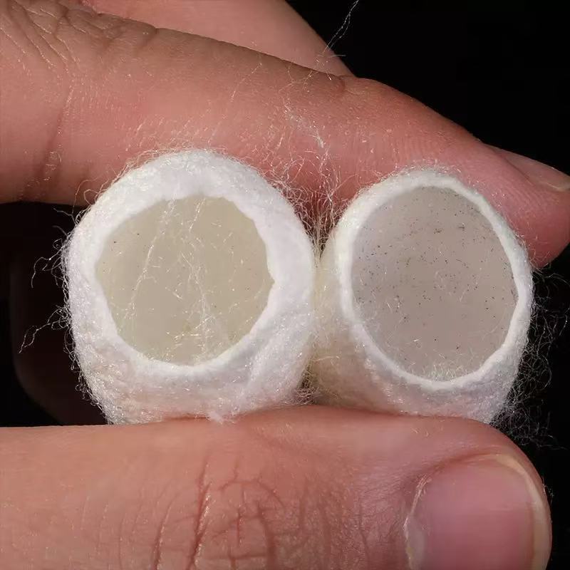 Silkworm Cocoon Shell (Bombyx mori) — Dried TCM Herb, Clean Unsulfured, 500g - Image 3