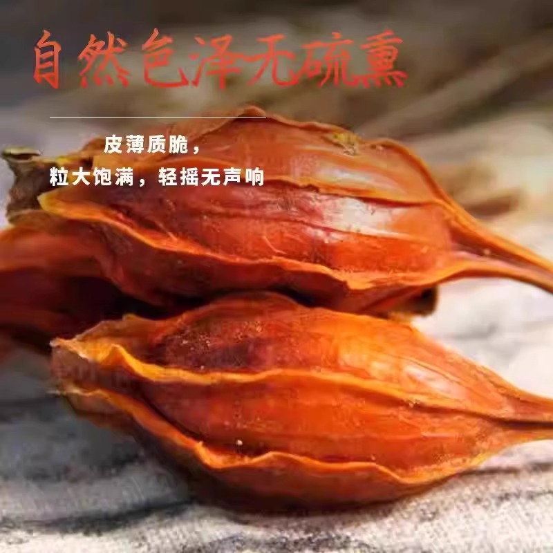 Gardenia Fruit Zhi Zi 70g Jar Sun Dried Food Grade Herbal Tea Ingredient - Image 2