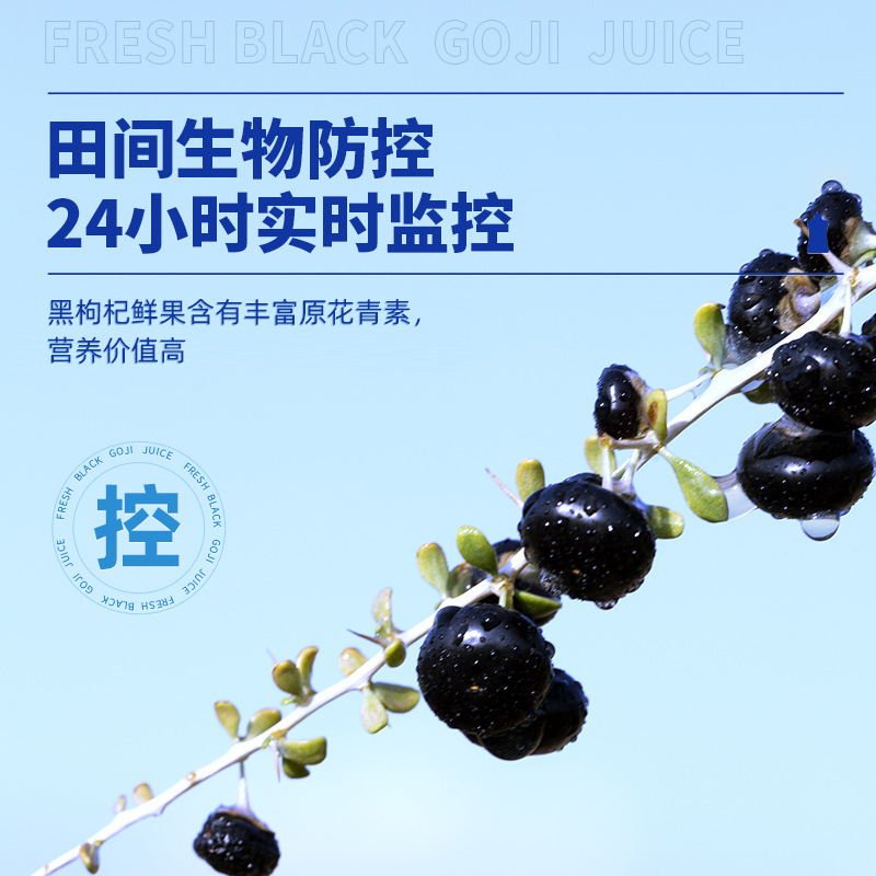 Black Goji Berry Juice Concentrate 30ml Sachets Hei Gou Qi Yuan Jiang Herbal Drink - Image 3