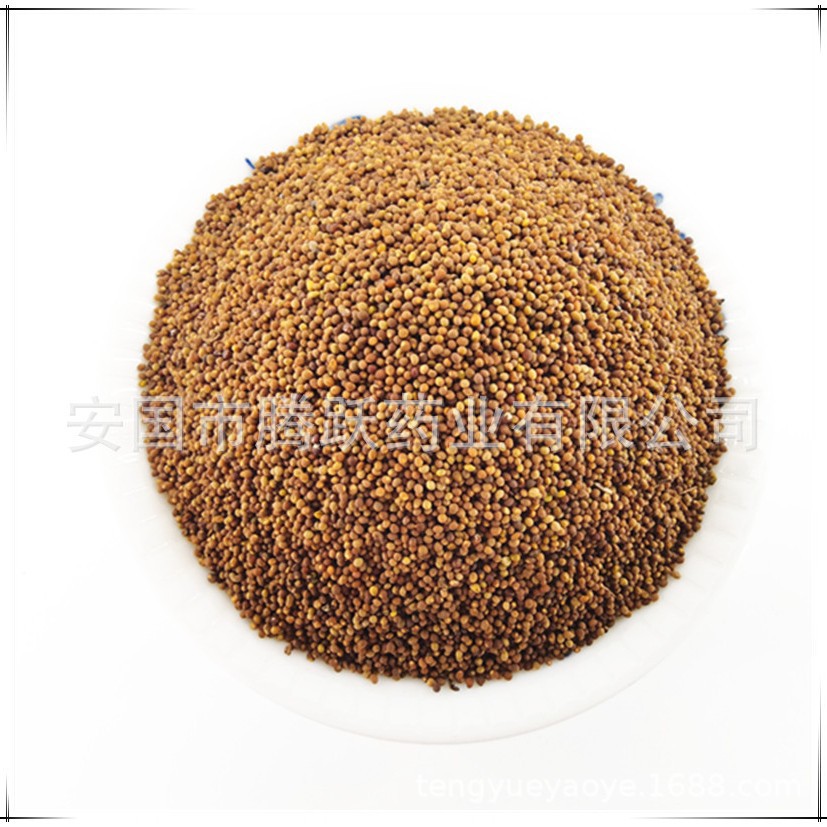 Dried Cuscuta Seeds Tu Si Zi 1kg Natural Sun Dried Chinese Dodder Seeds for Decoction and Tea - Image 5