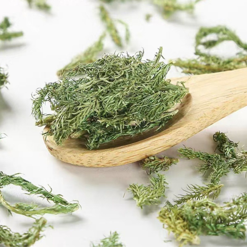 Shen Jin Cao (Lycopodium clavatum) — Dried Clubmoss Herb for Foot Soaks & Herbal Wine - Image 3