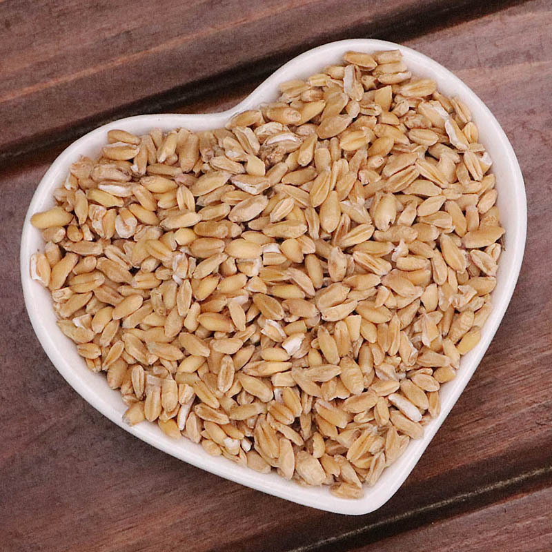 Fu Xiao Mai Dried Floating Wheat Triticum aestivum 500g Traditional Herbal Decoction Ingredient - Image 4