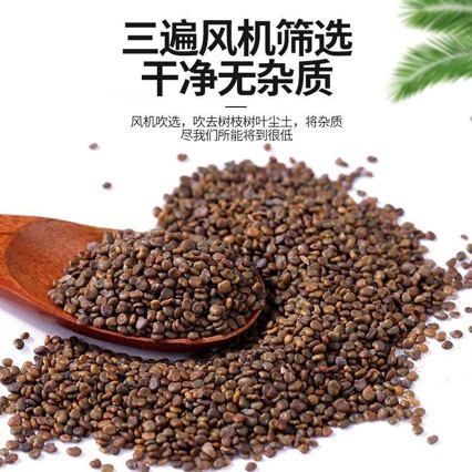 Sha Yuan Zi (Astragalus complanatus) — Sulfur-Free Wild Dried Seeds for Tea & Tonic - Image 4