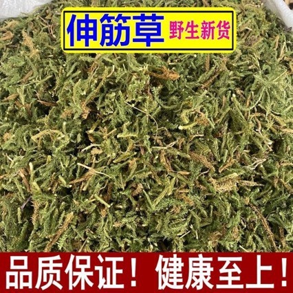 Shen Jin Cao (Lycopodium clavatum) — Dried Herbal Stems for Traditional Decoctions & Soaks - Image 2