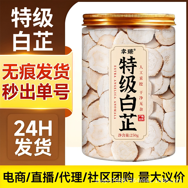 Premium Bai Zhi Slices Sulfur Free Angelica Dahurica Root for Herbal Soup and Culinary Seasoning 250g - Image 2