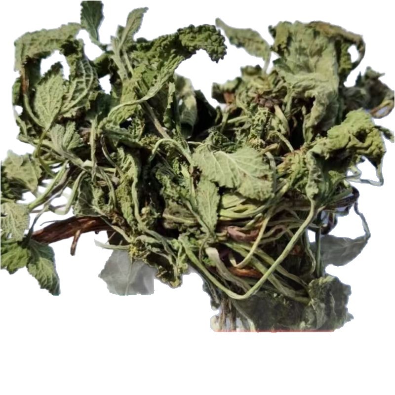 Dried Toad Herb Ha Ma Cao 蛤蟆草 Salvia plebeia Whole Herb 500g for Culinary Herbal Use - Image 5
