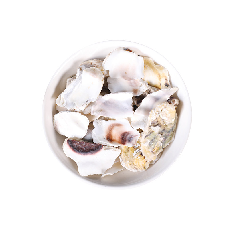 Dried Oyster Shell Mu Li 牡蛎 500g Traditional TCM Herb Calcined and Raw Shell Pieces - Image 5