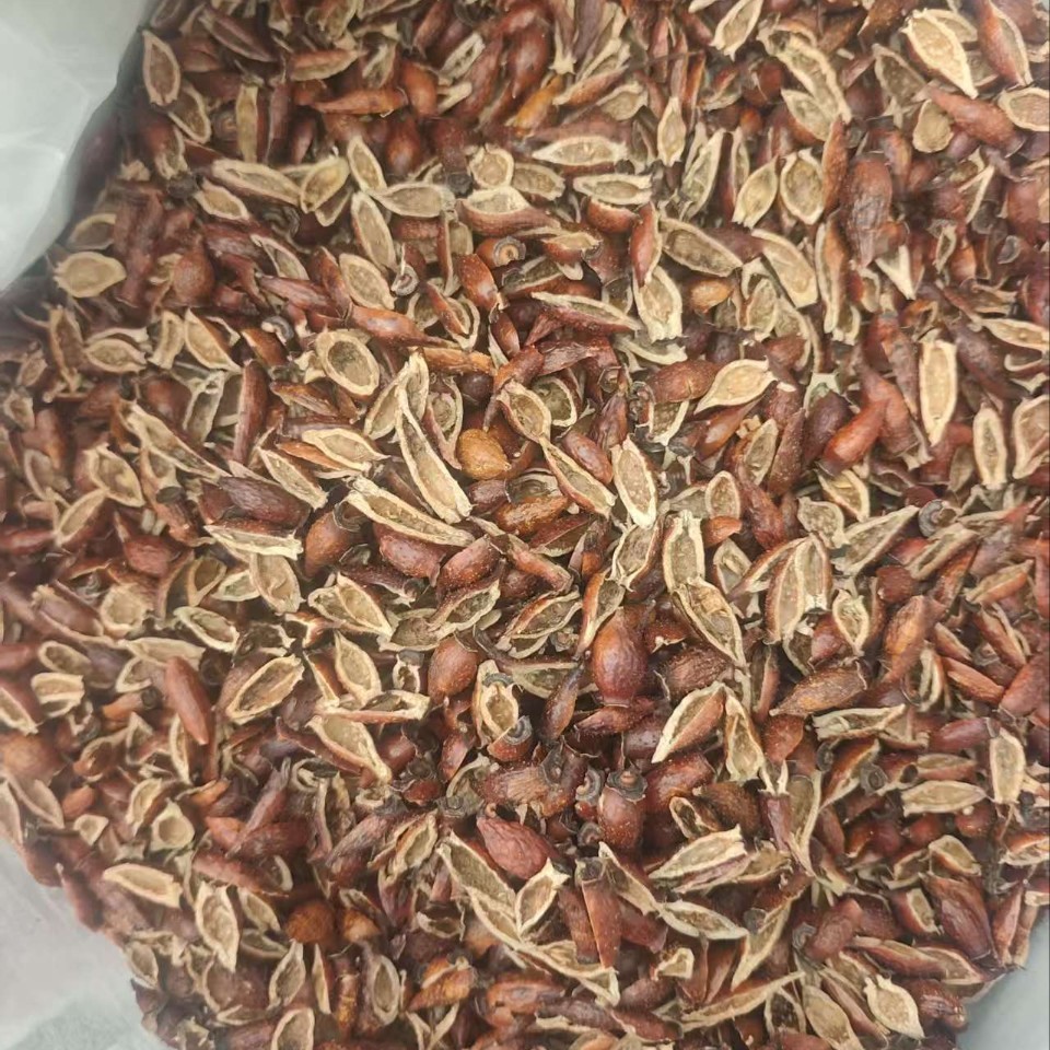 Dried Cherokee Rose Fruit Jin Ying Zi 500g Hand Seeded Slices for Tea Wine and Soup - Image 2