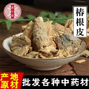 Chun Gen Pi (Ailanthus altissima Bark) — Dried Tree-of-Heaven Root Bark, Unsulfured
