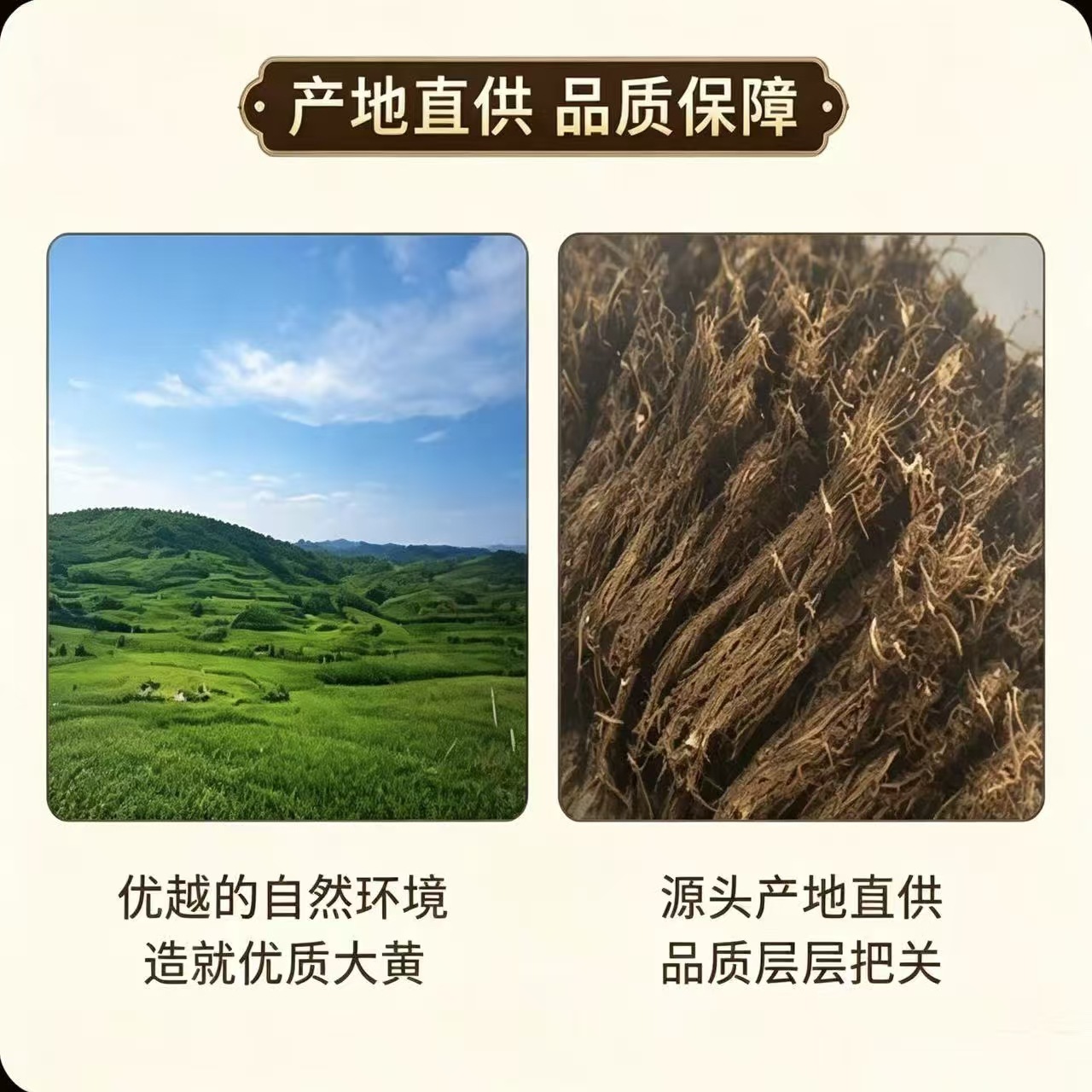 Dried Rhubarb Root Slices Da Huang 大黄 1000g Bag Raw Herb for Decoction and Tea - Image 3