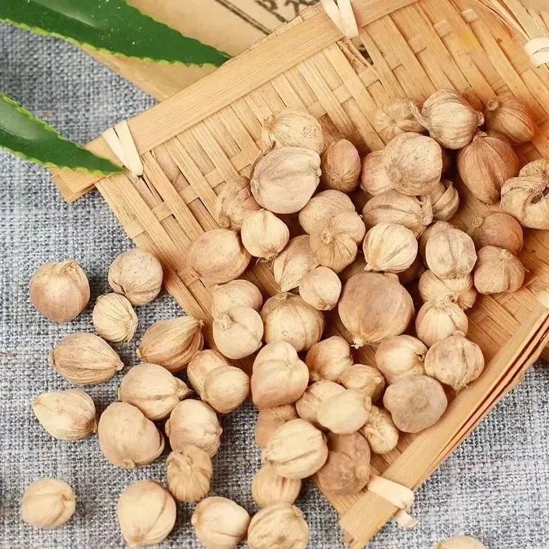 White Cardamom Bai Dou Kou 50g Dried Amomum Kravanh Fruit for Hot Pot Braising and Seasoning - Image 3
