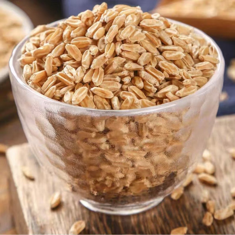 Fu Xiao Mai (Triticum aestivum) — Naturally Sun-Dried Light Wheat for Tea & Soup - Image 3