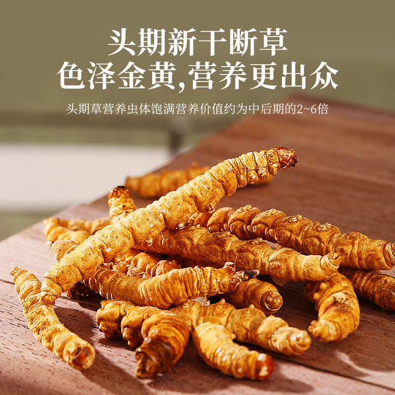 Dried Cordyceps Sinensis Broken Stems 1g Box Wild Harvested Tibetan Plateau Cordyceps for Traditional Soup and Decoction - Image 3