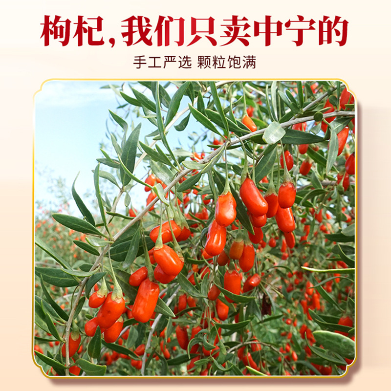 Dried Goji Berries 250g Jar Ningxia Zhongning Gou Qi Zi Unsulfured Premium Goji Fruit - Image 2
