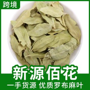 Luobuma Tender Leaf & Bud (Apocynum venetum) — Xinjiang Dried Food Herb, 500g