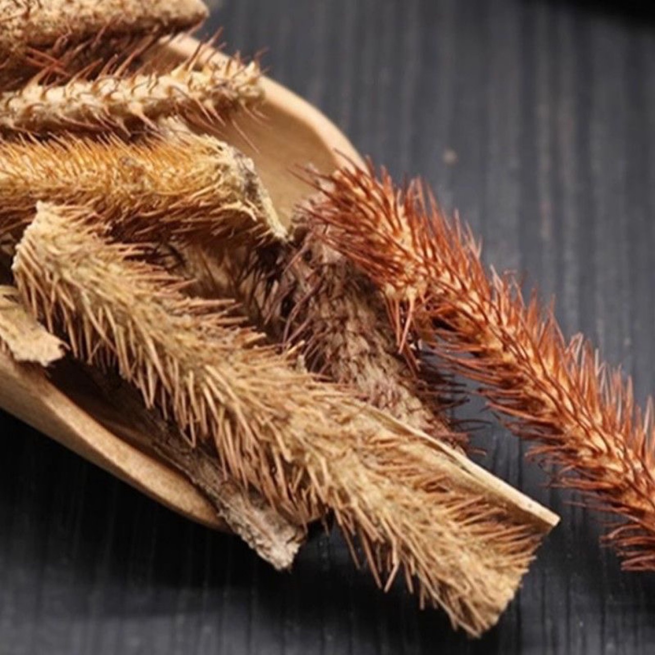 Wu Jia Pi (Acanthopanax senticosus) — Dried Food Herb for Wine & Tea - Image 3