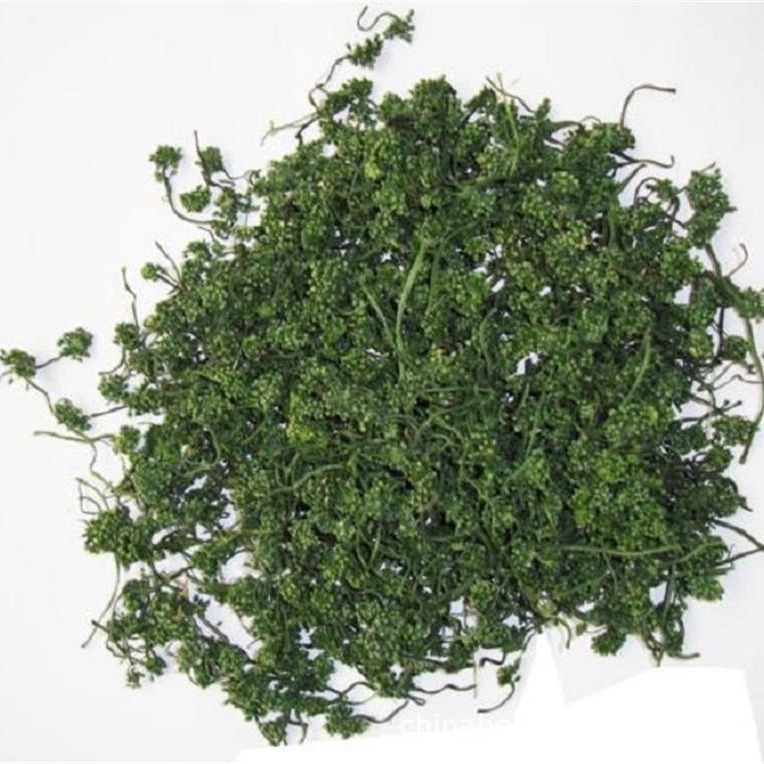 Ginseng Flower Tea 500g Ren Shen Hua Dried Buds from Changbai Mountain Northeast China New Harvest - Image 3