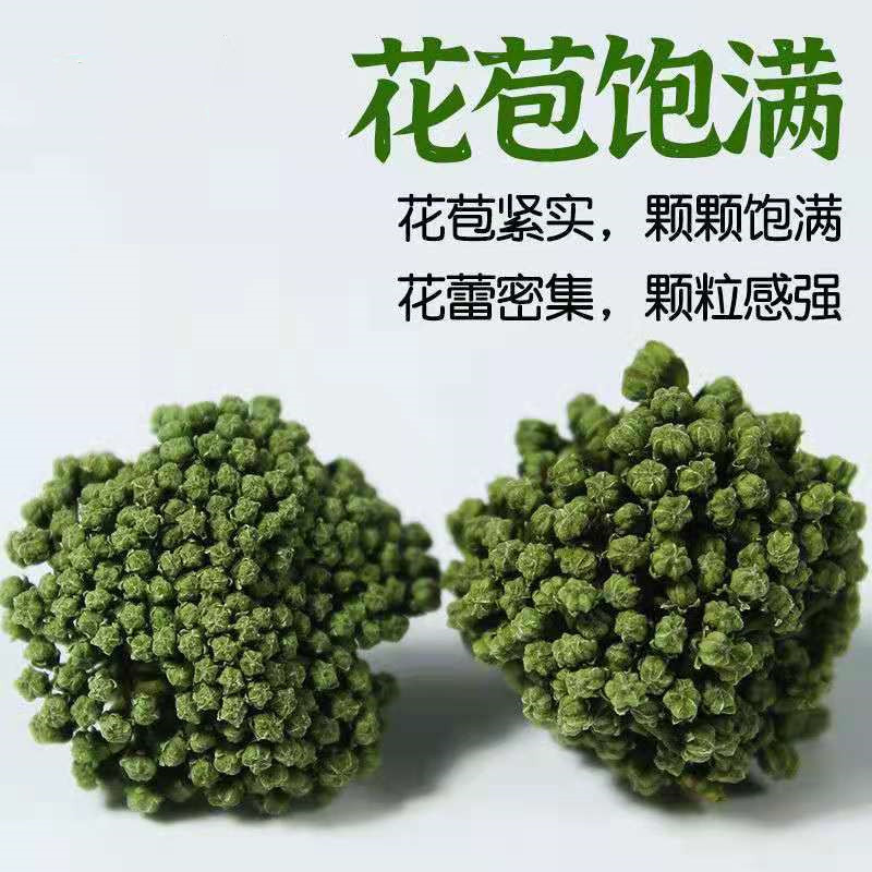 Panax Notoginseng Flower Tea San Qi Hua Dried TCM Herbal Tea 500g Loose Blooms for Daily Infusion - Image 2