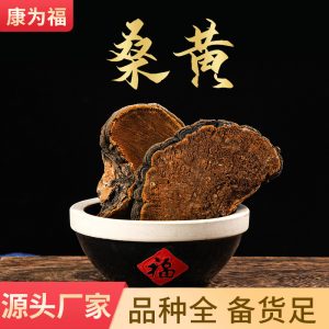 Sang Huang (Sanghuangporus sanghuang) — Wild-Grown Tibetan Medicinal Mushroom, Sulfur-Free, Custom Milling