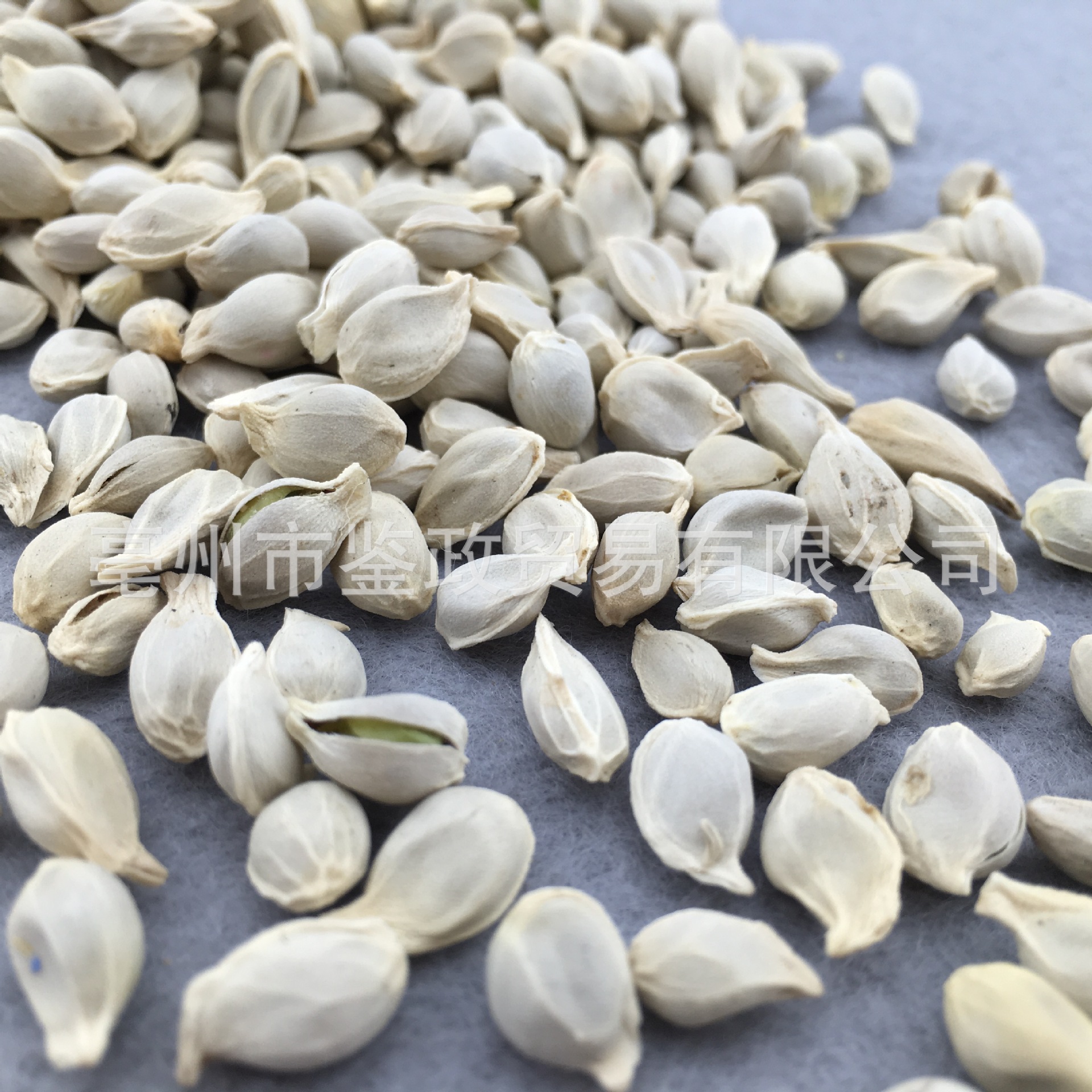Dried Tangerine Seed Ju He Citrus Reticulata Bulk Herbal Tea Ingredient 500g - Image 4