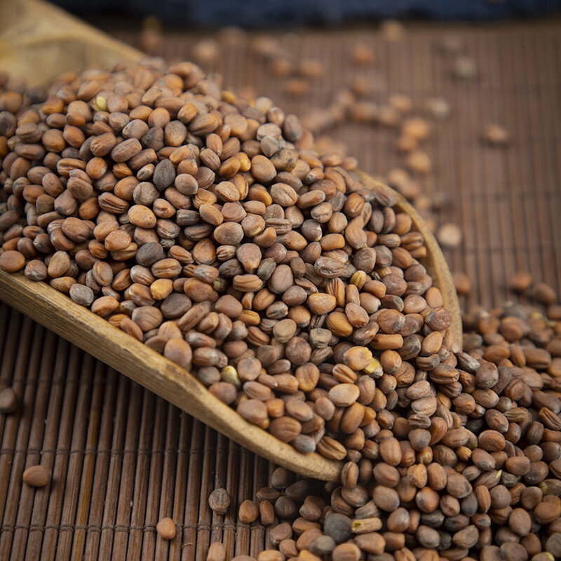 Dried Radish Seed Lai Fu Zi 500g Raphanus sativus Seeds for Decoction and Tea - Image 4