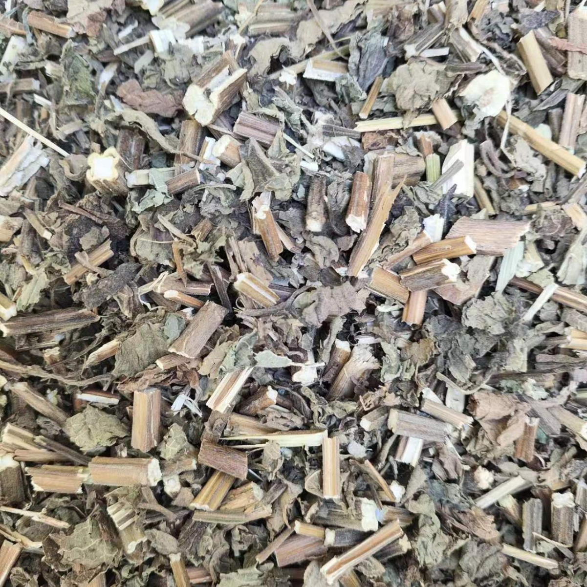 Xi Huang Cao (Rabdosia serra) — Dried Chinese Herbal Decoction Pieces, 500g - Image 3