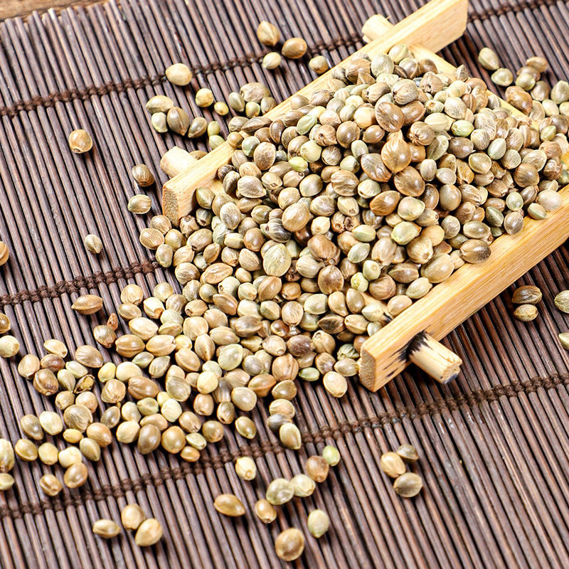 Huo Ma Ren (Cannabis sativa Seed) — Dried Food-Herb Seed for Tea, Congee & Baking - Image 3