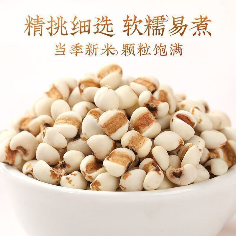 Roasted Coix Seed Yi Yi Ren Snack Crispy Ready to Eat No Additives 100g - Image 3