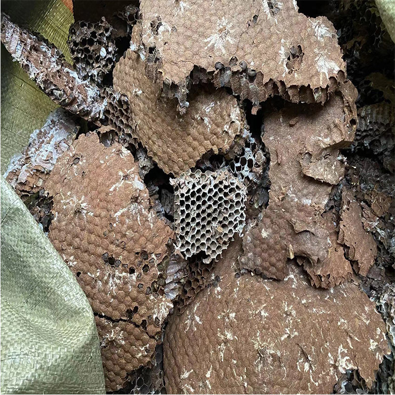 Dried Honeybee Nest Feng Fang 500g Wild Wasp Hive Whole Piece Traditional TCM Herb - Image 2