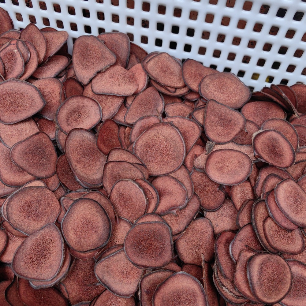 Deer Antler Blood Slices Lu Rong Xue Pian 50g Dried Slices for Soup and Wine Infusion - Image 2