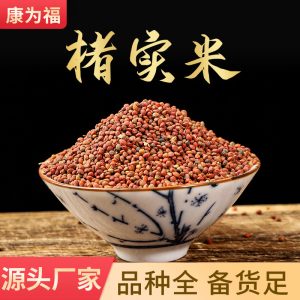 Chu Shi Zi (Broussonetia papyrifera Fruit) — Dried Food Herb Seed for Tea & Soup
