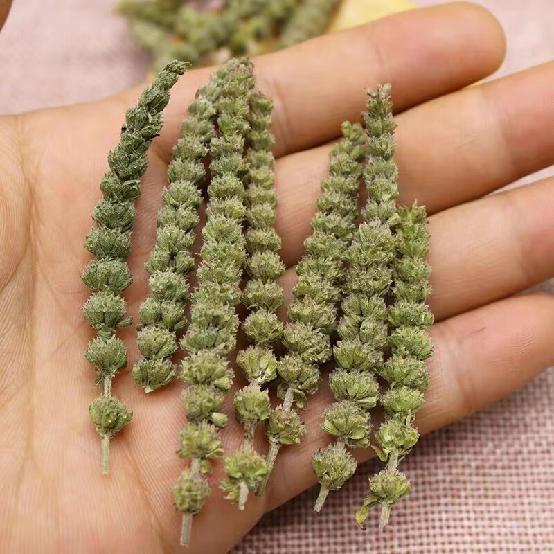Jing Jie Sui Dried Schizonepeta Flower Spikes 500g Chinese Herbal Tea Ingredient - Image 2
