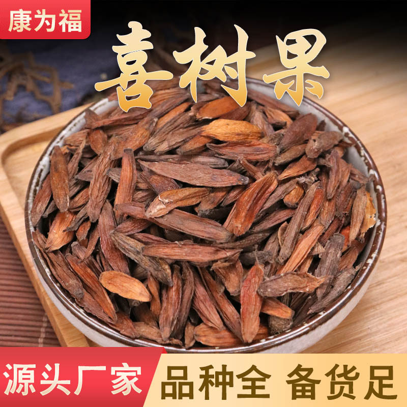 Xi Shu Guo (Camptotheca acuminata) — Dried Chinese Herbal Fruit, 500g - Image 2