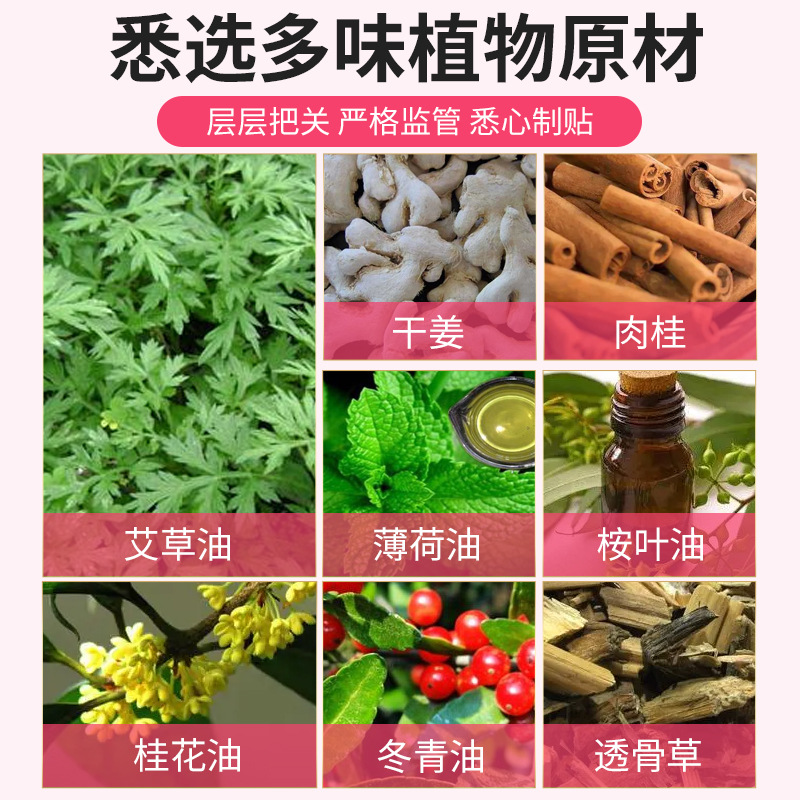 Mugwort Extract Butterfly Arm Patch Herbal Body Patch 12 Patches Per Box - Image 4