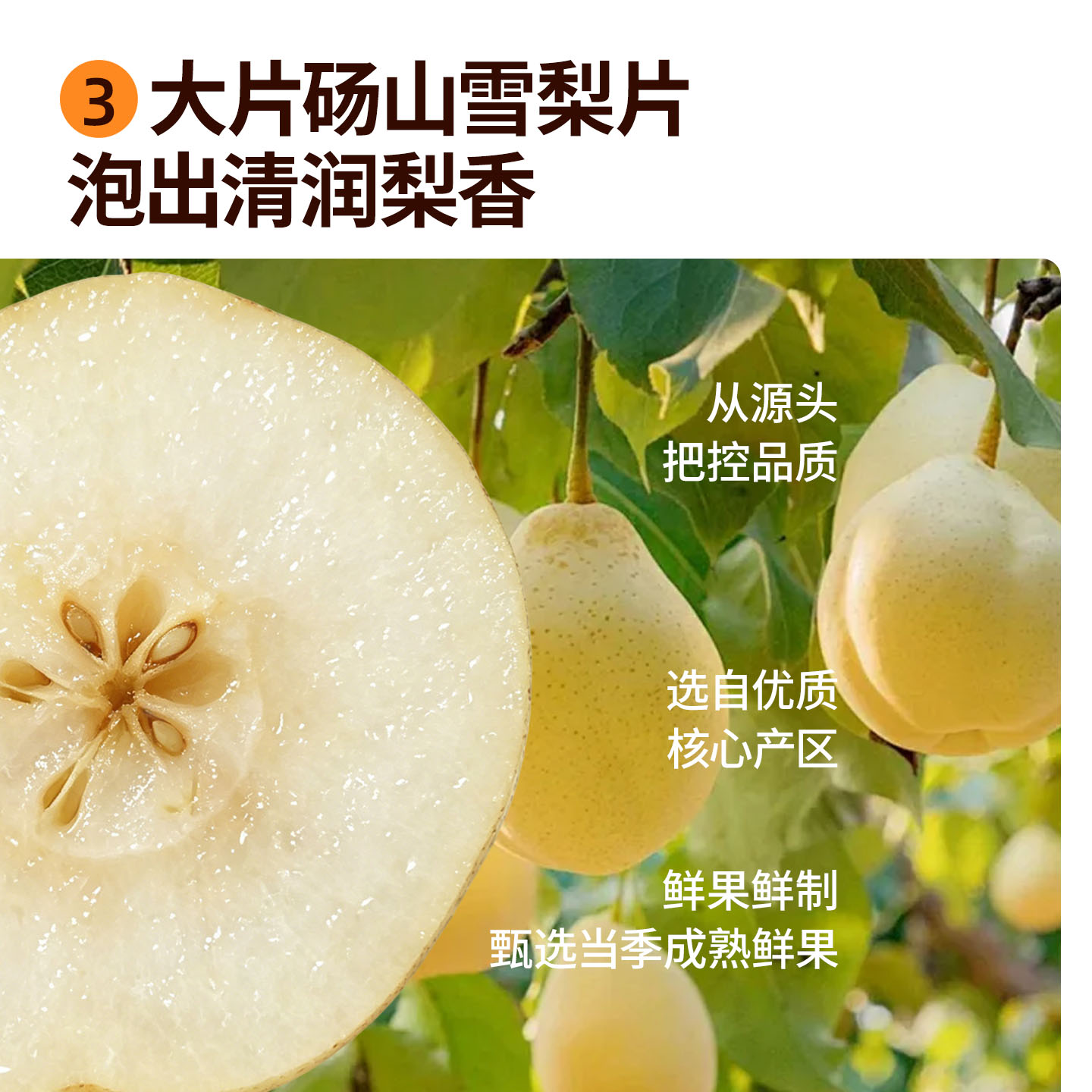 Pumpkin Snow Pear Tea 15g x 10 Bags Sugar Free Cold Brew Herbal Tea for Throat Comfort and Daily Hydration - Image 4