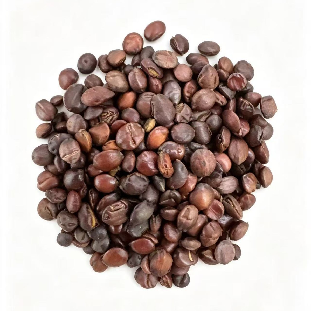 Dried Sour Jujube Seeds Suan Zao Ren Bulk 1000g Food Grade Herbal Ingredient - Image 5