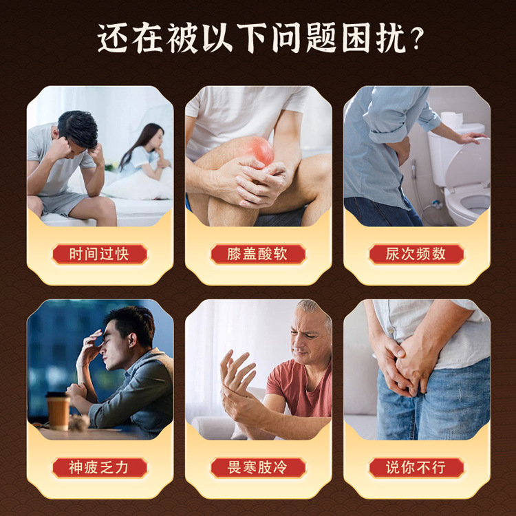 Shen Lu Da Li Wan Herbal Honey Pills 144g Traditional TCM Wellness Supplement with Ginseng Deer Antler and Polygonatum - Image 2