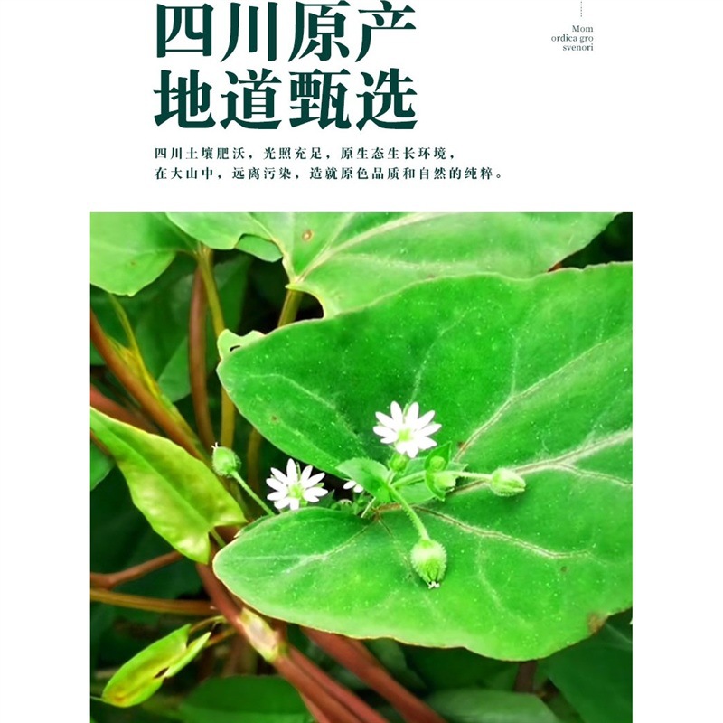 Sichuan Ye Jiao Teng Dried Vine Stems 500g Polygonum multiflorum Traditional Herbal Tea and Foot Soak - Image 3