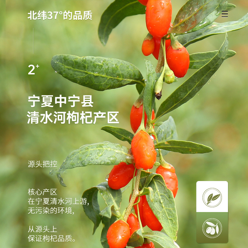 Dried Goji Berries Zhongning Gouqi Zi Premium Grade Ready to Eat 300g - Image 3