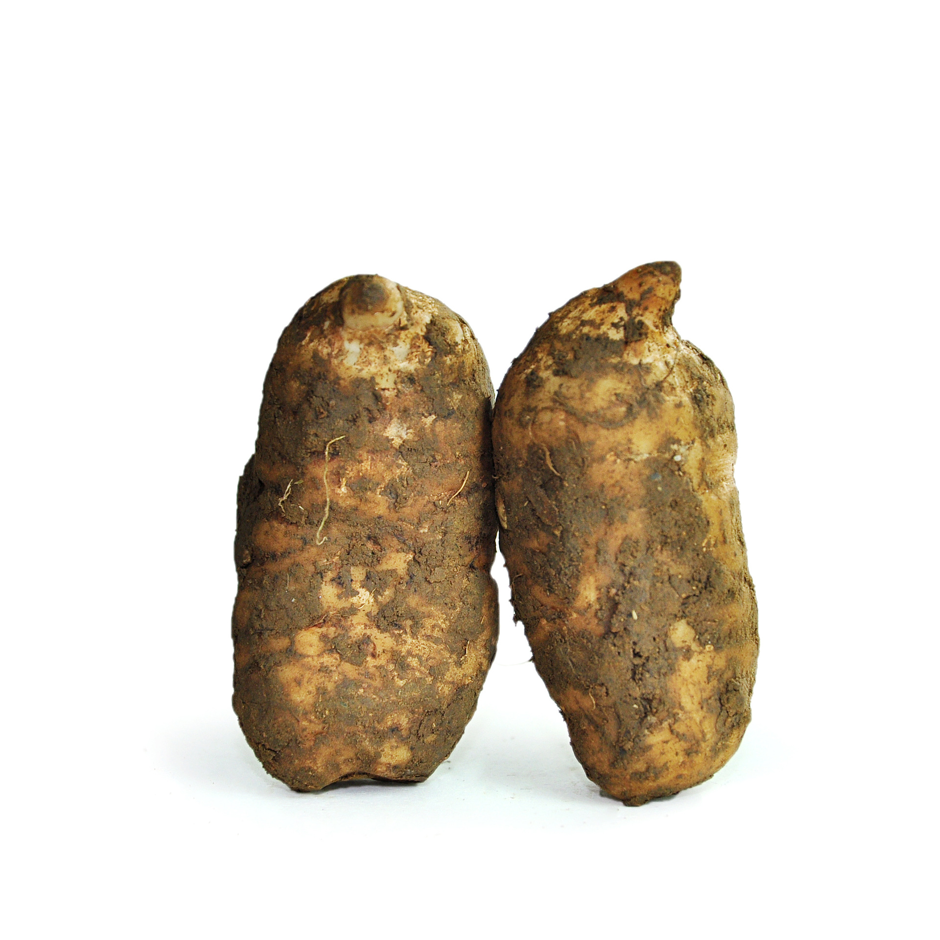Fresh Gastrodia Root Yunnan Xiaocaoba Tian Ma 500g Wild Grown High Mountain Fresh Dug - Image 5