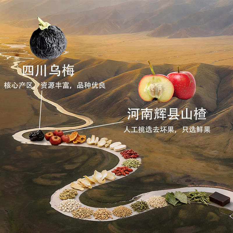 Dark Plum Hawthorn Tangerine Peel Paste (Wu Mei Shan Zha Chen Pi Gao) — Traditional Herbal Paste, 90g - Image 3