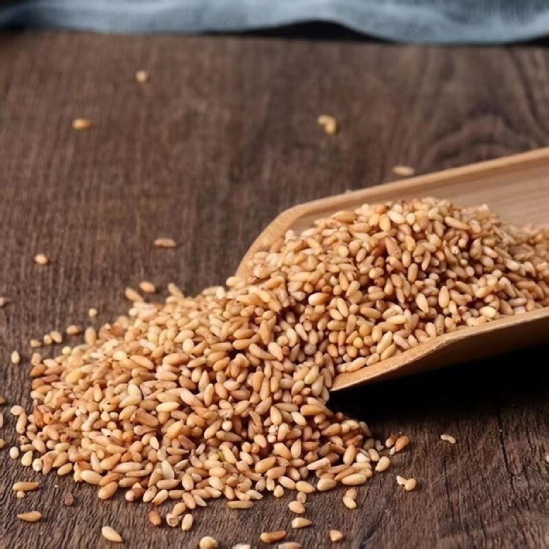 Bai Zi Ren (Platycladus orientalis) — Dried Arborvitae Seed for Tea & Congee - Image 3