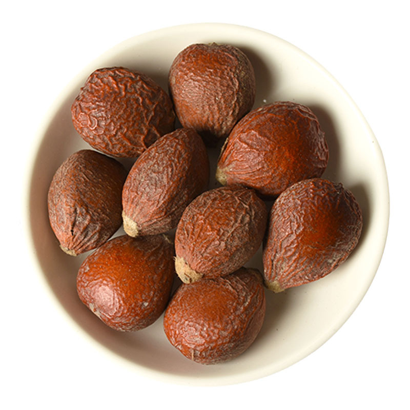 Tie Shu Guo (Cycas revoluta Seeds) — Dried Sago Palm Fruit, 500g Herbal Supply - Image 5