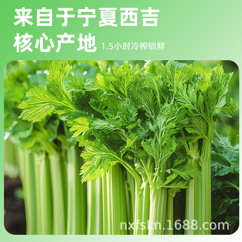 Fresh Celery Juice 500ml Bottled 100% Celery Puree Original Liquid Vegetable Drink - Image 3