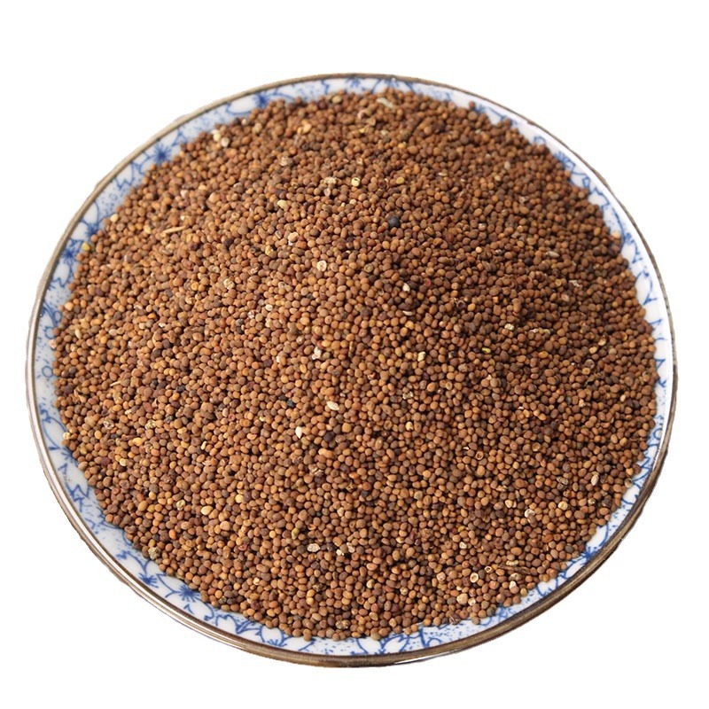 Dried Dodder Seed Tu Si Zi 500g Premium Chinese Herbal Tea Ingredient - Image 5