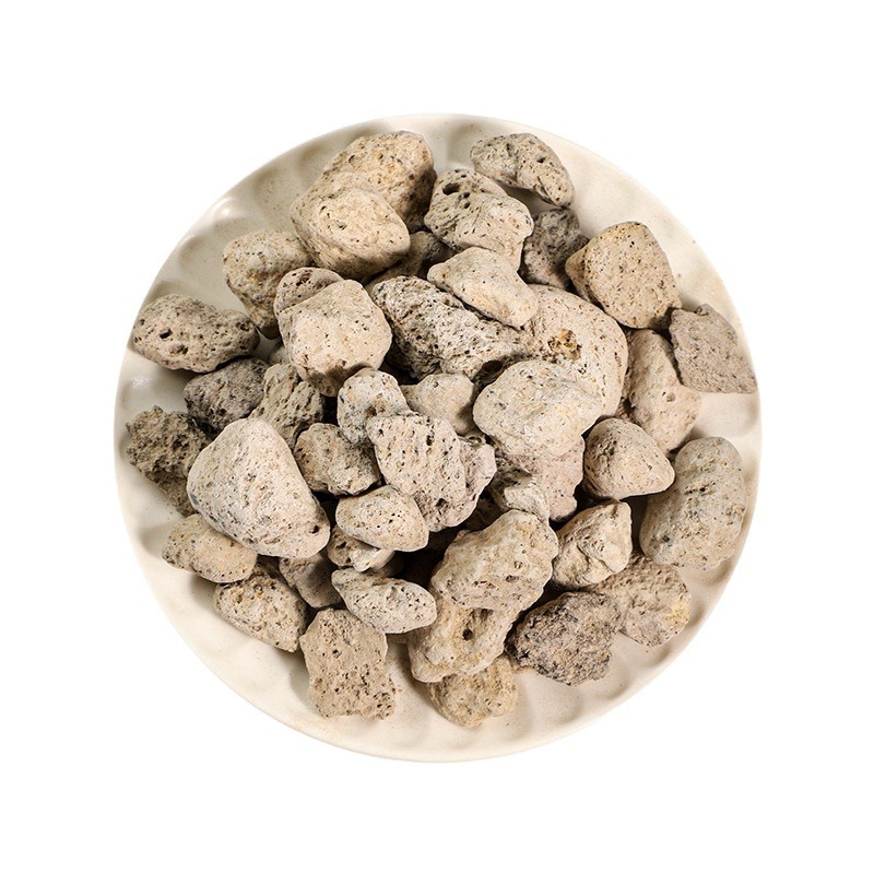 Hai Fu Shi (Pumice / Costazia aculeata) — Dried Mineral Herb for Decoction & Tea - Image 5